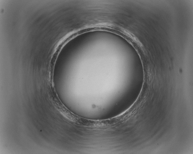 X0000067501316200604101220