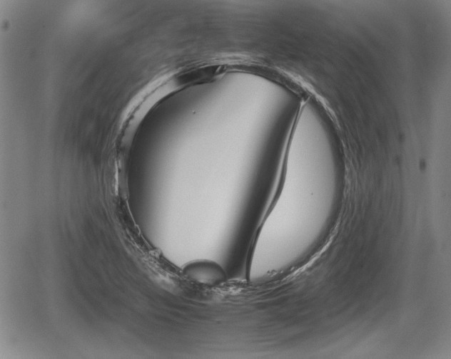 X0000067501317200604101220