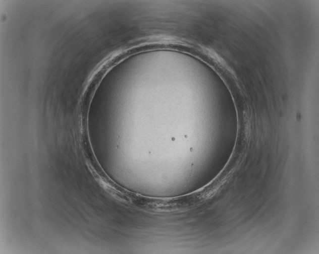 X0000067501318200604101220