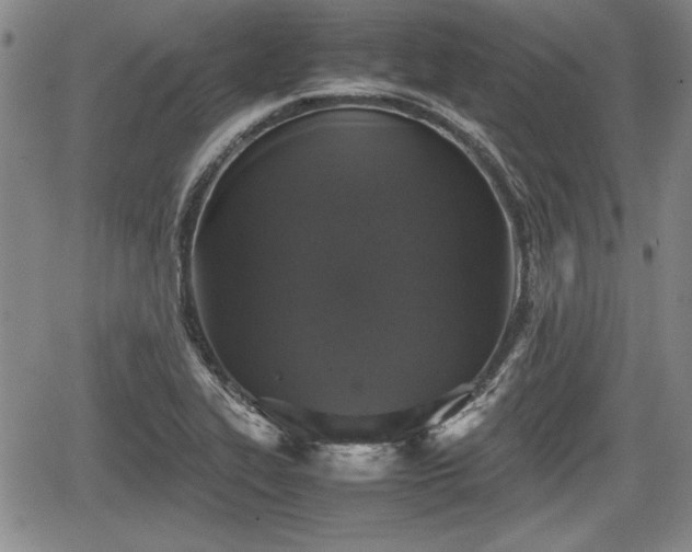 X0000067501319200604101221