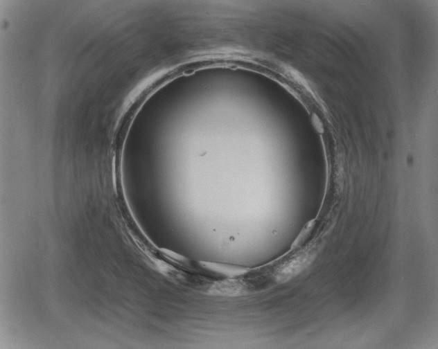 X0000067501320200604101221