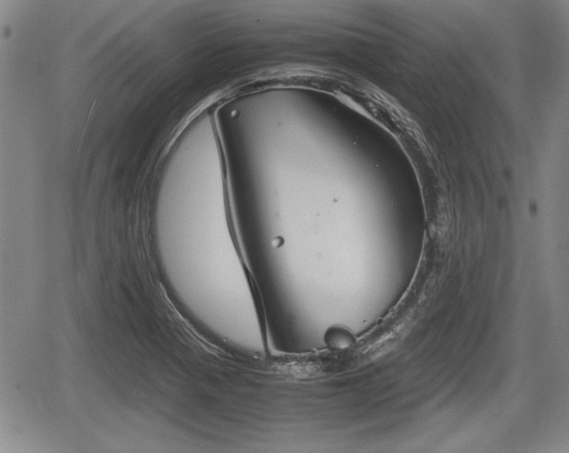 X0000067501321200604101221