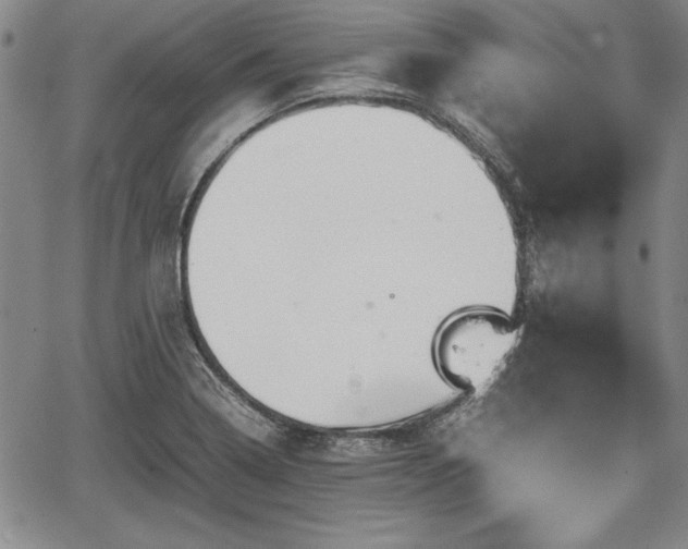 X0000067501322200604101221