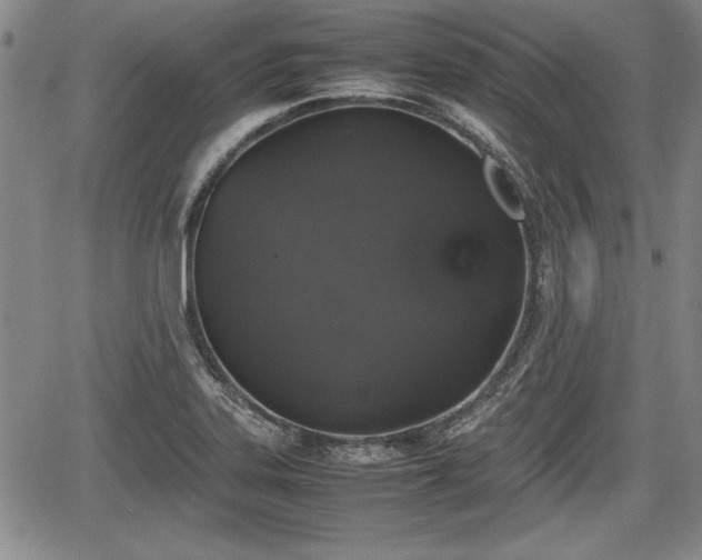 X0000067501323200604101221