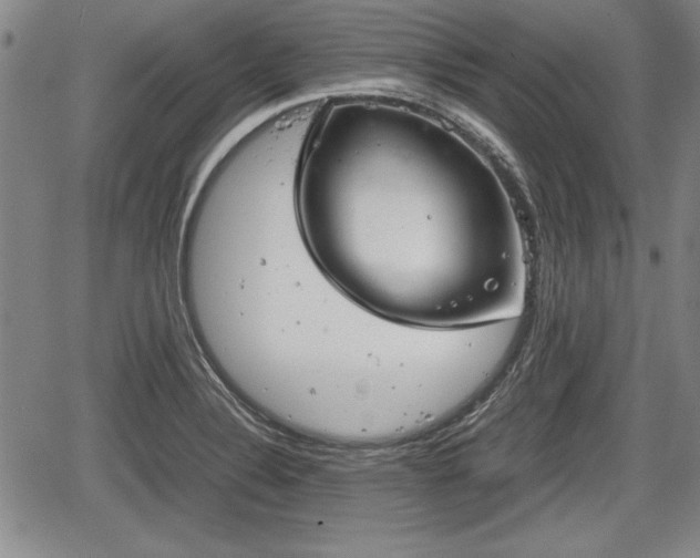 X0000067501324200604101221