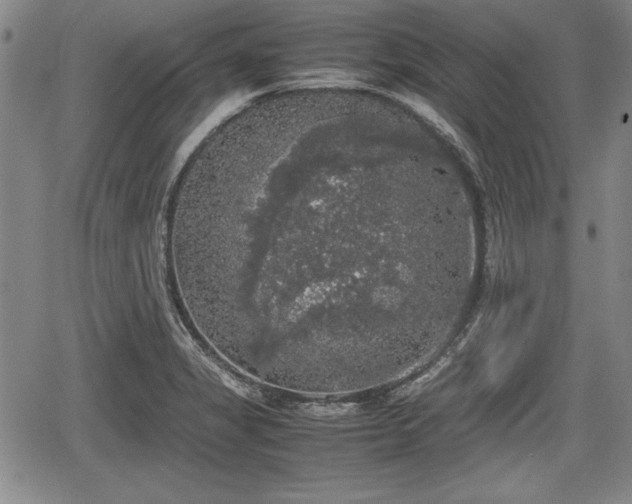 X0000067501325200604101221