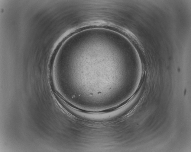 X0000067501326200604101221