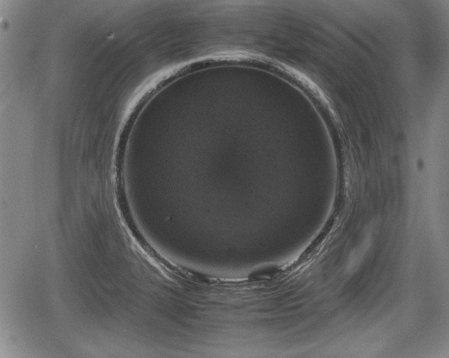 X0000067501327200604101221