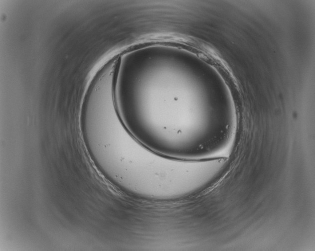 X0000067501328200604101221