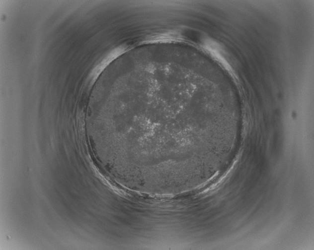 X0000067501329200604101221