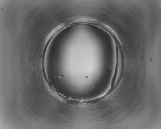 X0000067501330200604101221