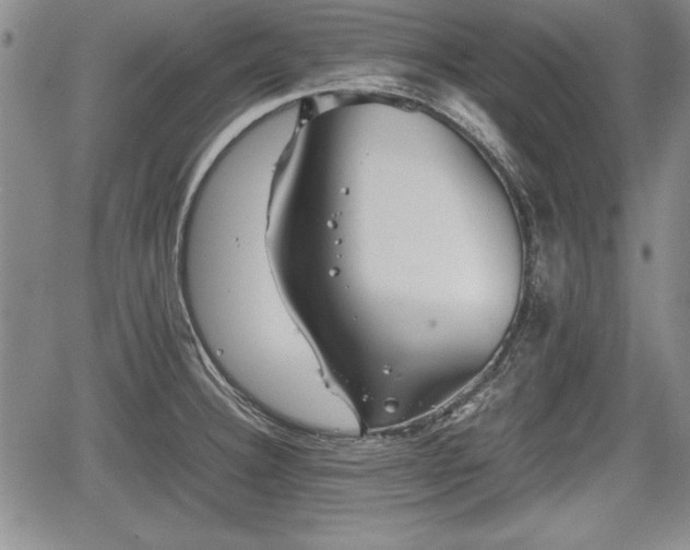 X0000067501332200604101221