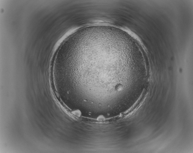 X0000067501333200604101221