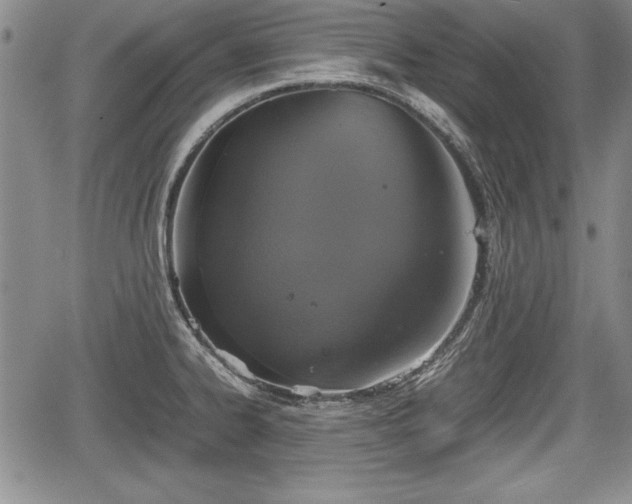 X0000067501334200604101221