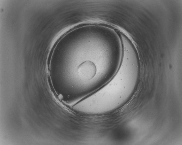 X0000067501335200604101221