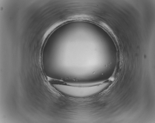 X0000067501336200604101221