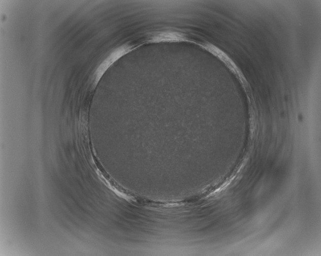 X0000067501337200604101221