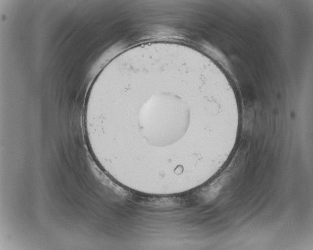 X0000067501338200604101221