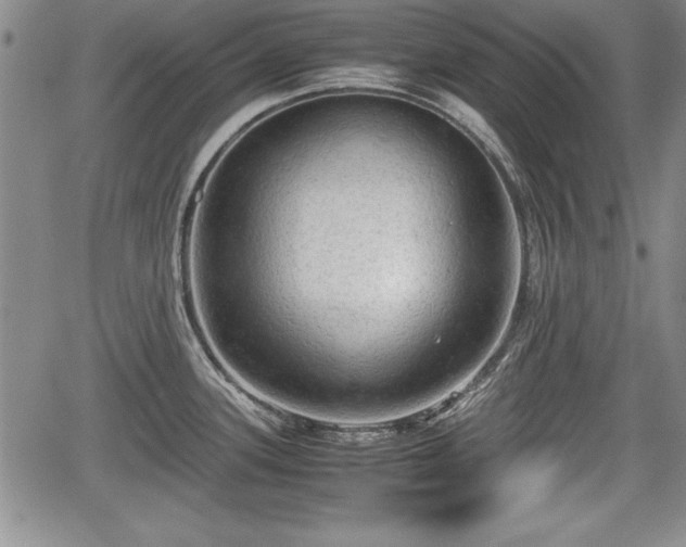 X0000067501339200604101221