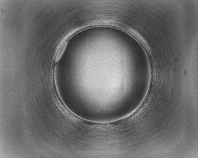 X0000067501340200604101221