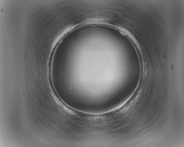 X0000067501341200604101221