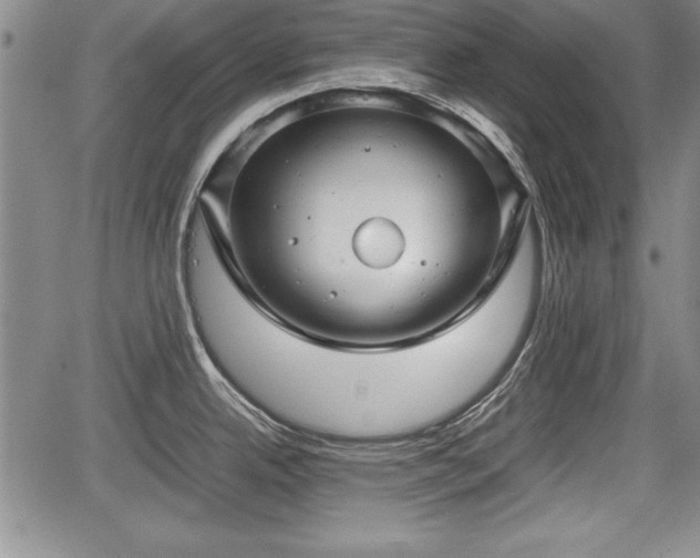 X0000067501342200604101221