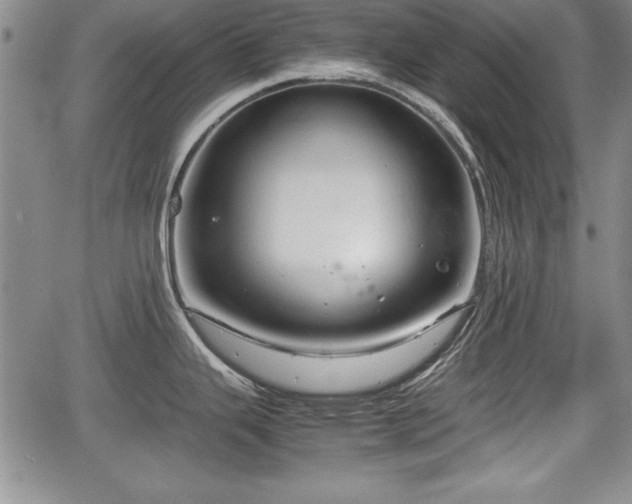 X0000067501343200604101221