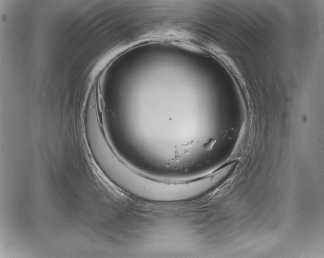 X0000067501344200604101221