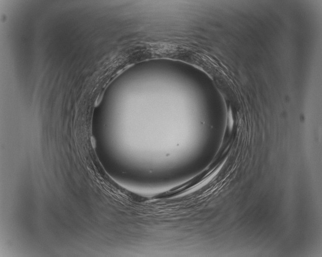 X0000067501345200604101220