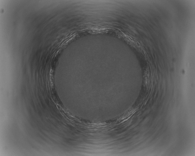 X0000067501346200604101220