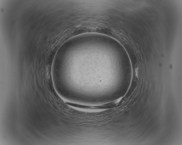 X0000067501347200604101220