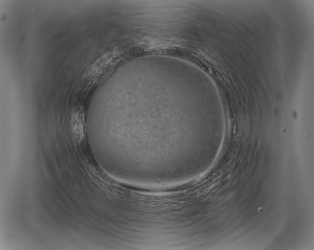 X0000067501348200604101220