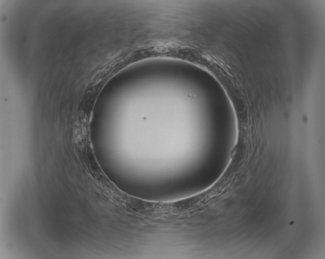 X0000067501349200604101220