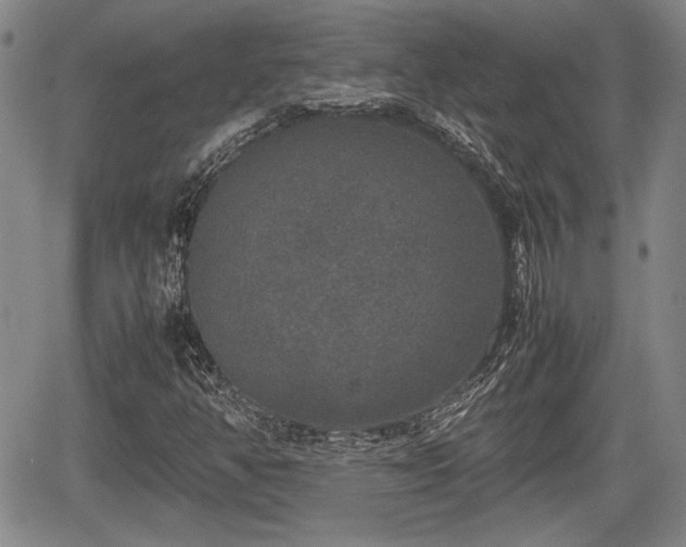 X0000067501350200604101220