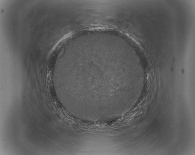 X0000067501351200604101220