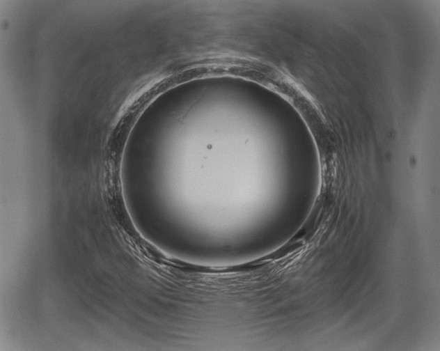 X0000067501352200604101220