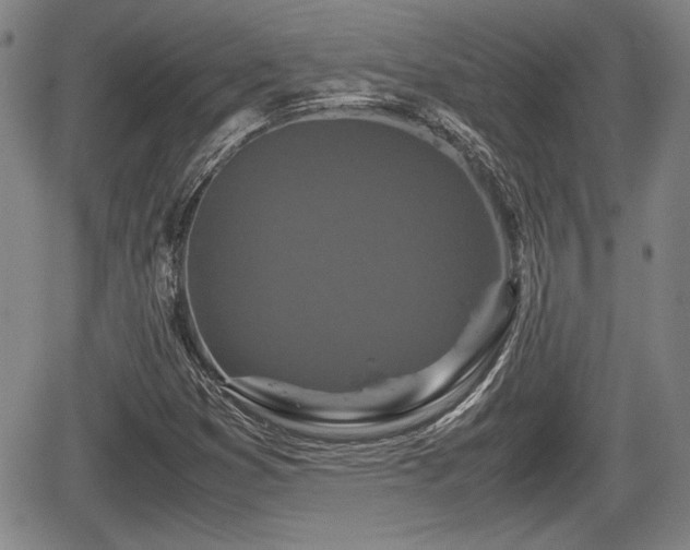 X0000067501353200604101220