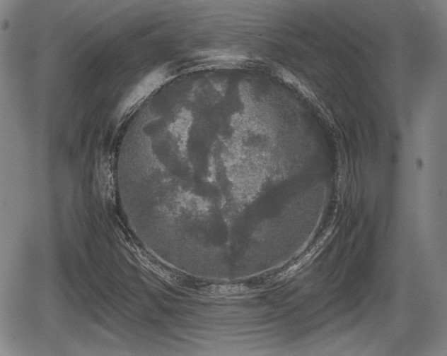 X0000067501354200604101220