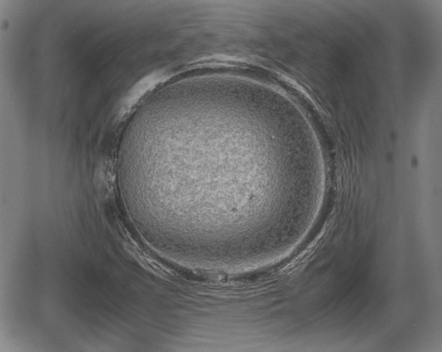 X0000067501355200604101220