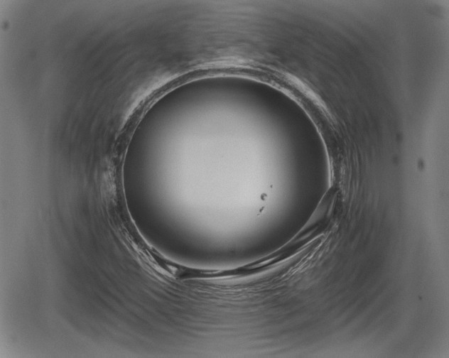 X0000067501356200604101220