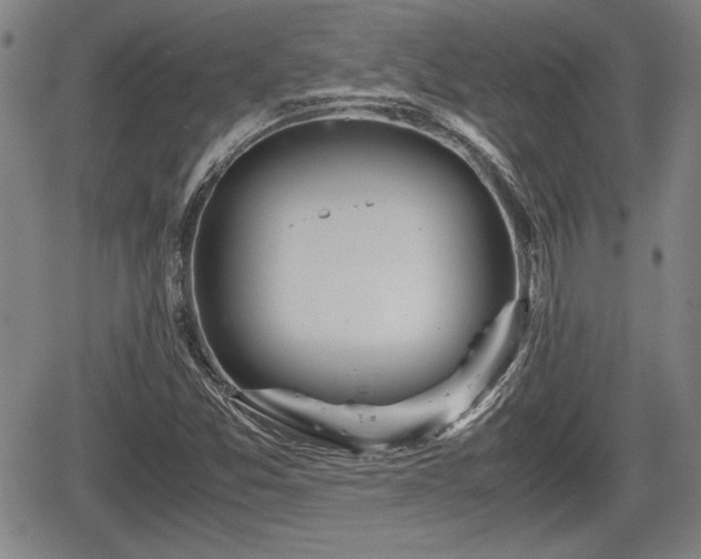 X0000067501357200604101220