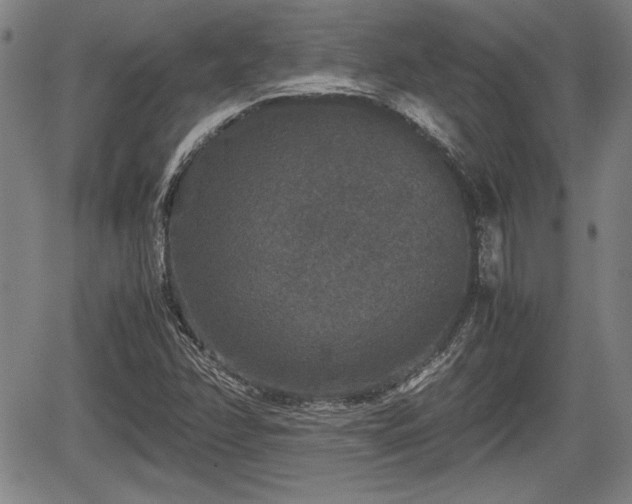 X0000067501358200604101220