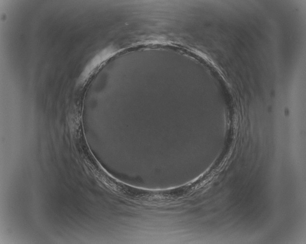 X0000067501359200604101220