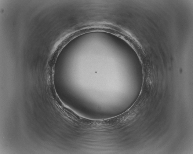 X0000067501360200604101220