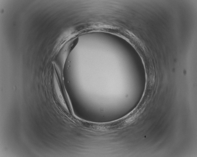 X0000067501361200604101220