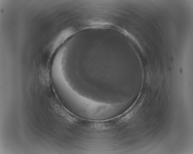 X0000067501362200604101220