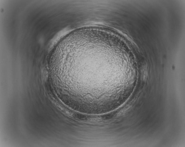 X0000067501363200604101220