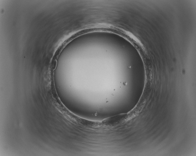 X0000067501364200604101220