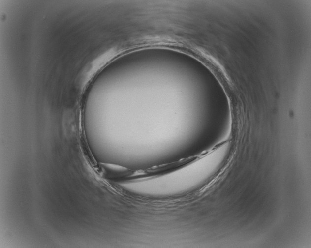 X0000067501365200604101220