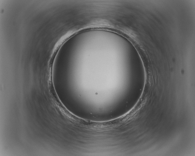 X0000067501366200604101220